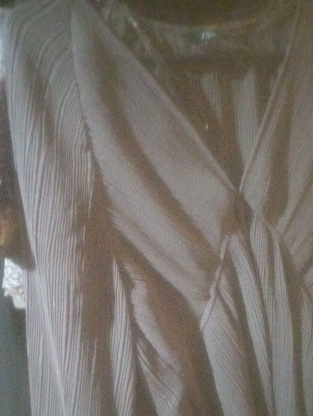 Zara Brown Pleated Top